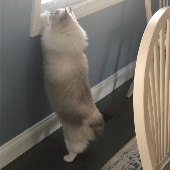 REBRANDING!! - Picture 8 of 13